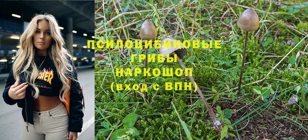 МДПВ Аркадак
