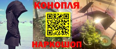 гидропоника Ипатово