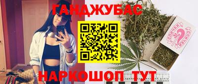 прущие грибы Волгодонск