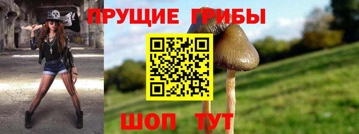 Галлюциногенные грибы Magic Shrooms Ступино